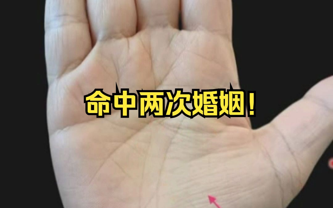 命中两次婚姻!哔哩哔哩bilibili