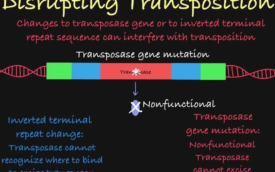 [图]Introduction to Transposons