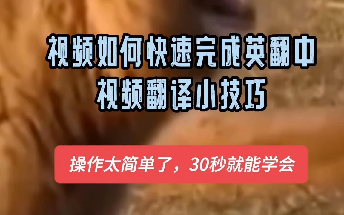 视频如何快速英翻中?视频翻译小技巧,从海外搬运和二创视频必备的软件鬼手剪辑.哔哩哔哩bilibili