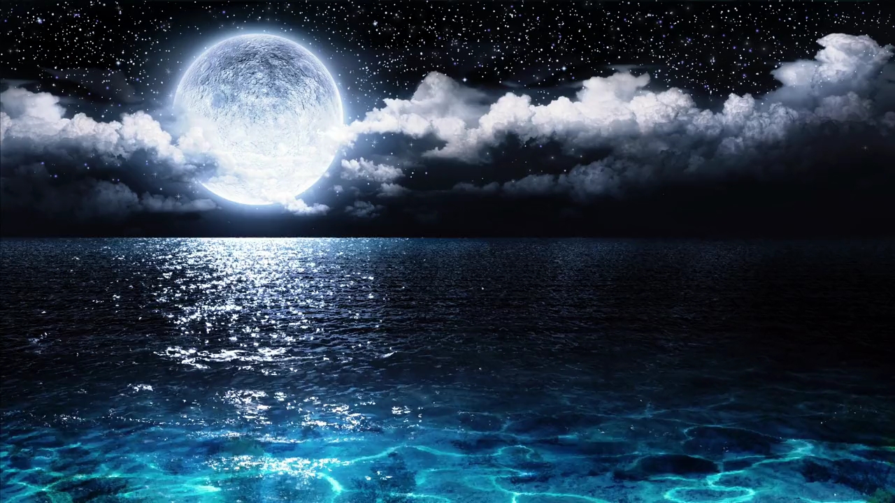 月光,大海,星辰这也许就是"星河欲转千帆舞"中所描绘的世界吧!
