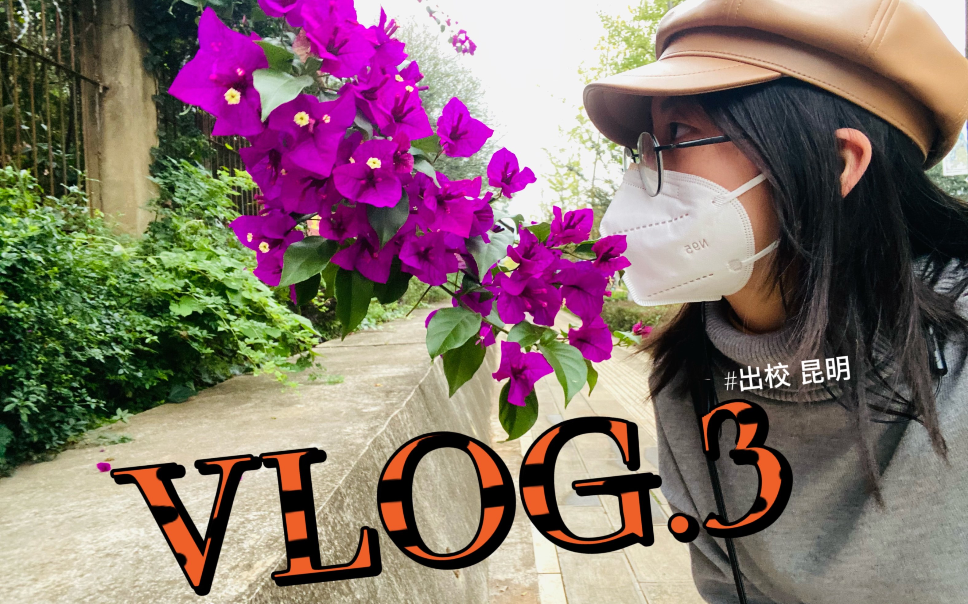 [图]VLOG.3 春城初探索