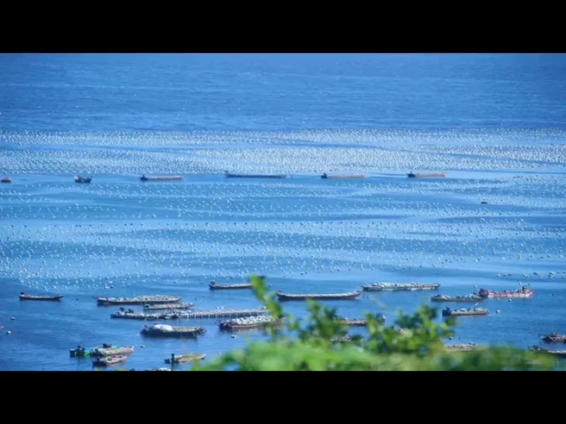 海滨小城详细讲解,一起来学习吧哔哩哔哩bilibili