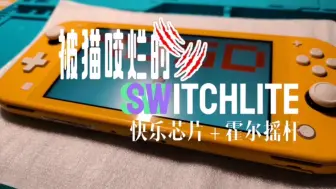 Download Video: 被猫咬烂的Switchlite