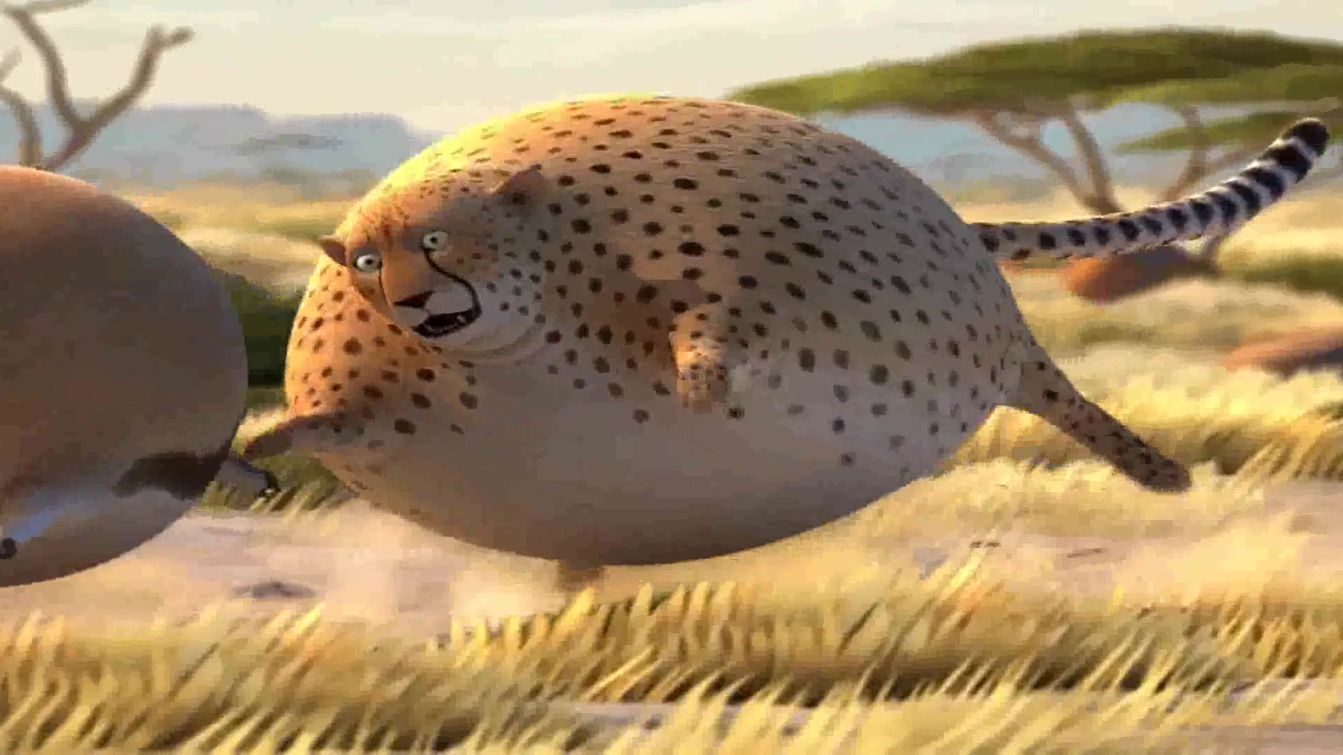 肥版国家地理整合版