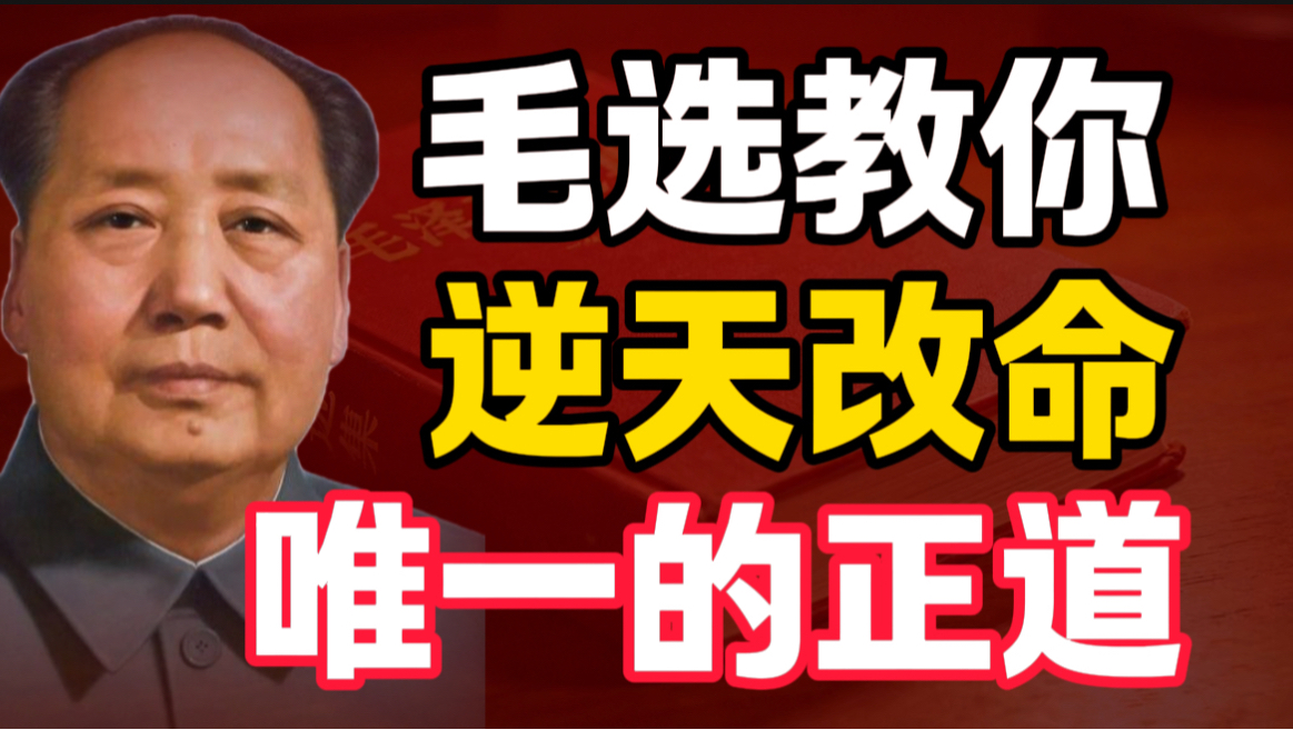 第5期 | 读了《毛选》才明白，这是我们普通人逆天改命的唯一正道｜毛选思维、毛选解读、读毛选