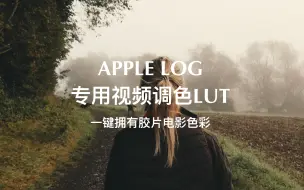 Download Video: 我的iPhone 15拥有了富士胶片色彩？电影感满满apple log专用视频调色lut