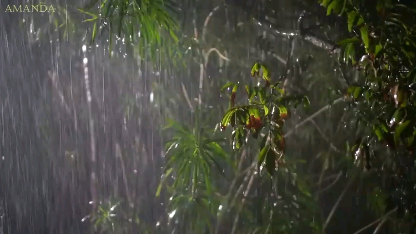 [图]野外大大大大大雷雨