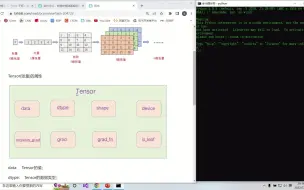 Download Video: 第二集—Tensor(张量)介绍
