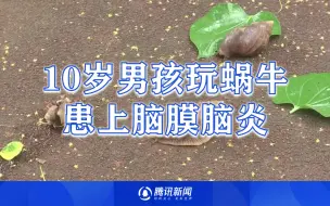 Download Video: 10岁男孩玩蜗牛患上脑膜脑炎，长期头痛久治不愈