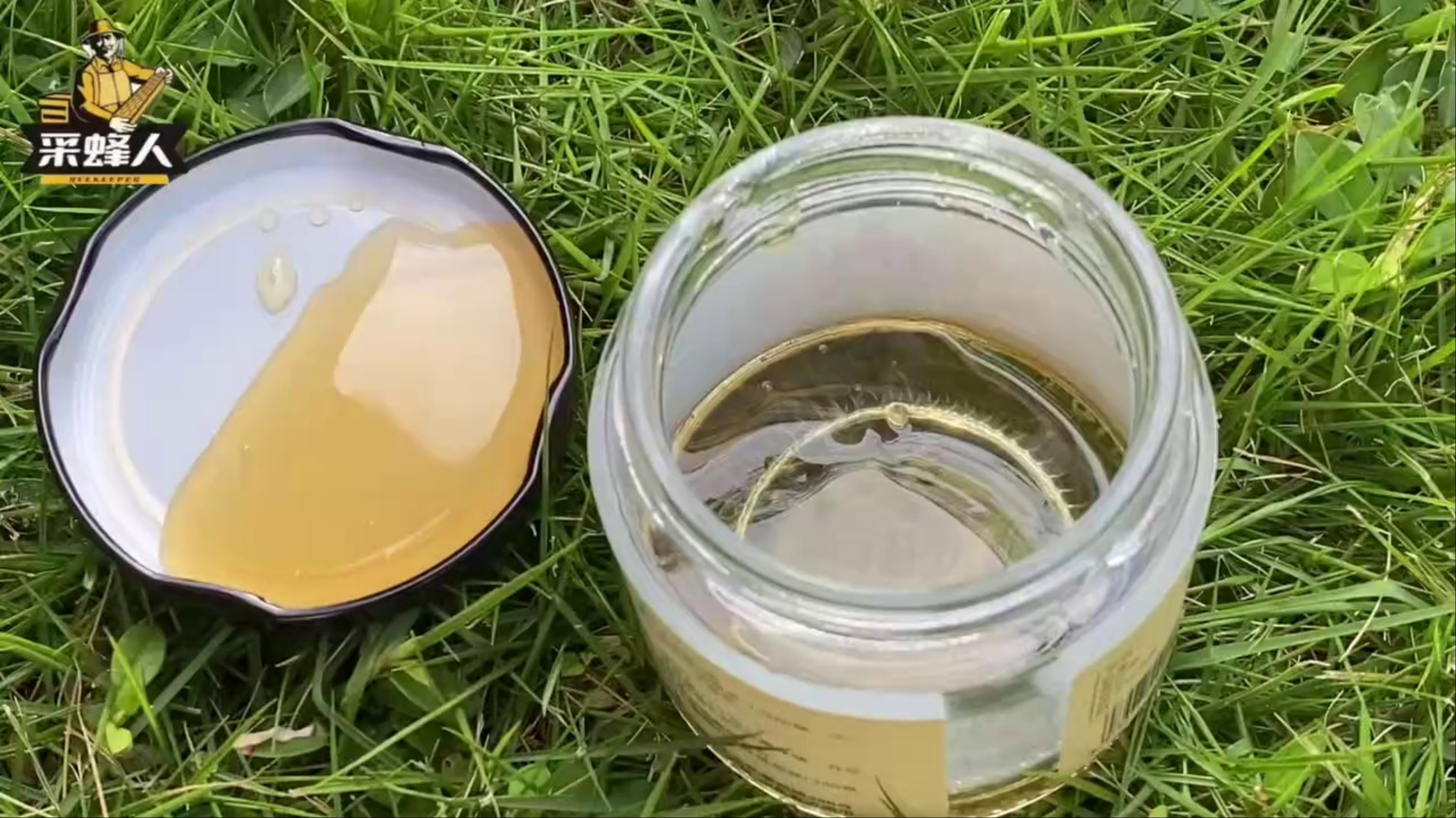 蜂蜜要怎么吃才好吃视频(蜂蜜要怎么吃才好吃视频播放)