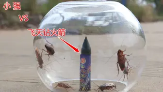 实验：“小强”VS“飞天钻火箭”，会有什么样的结果呢？