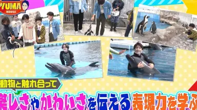 ジャニーズjr-哔哩哔哩_Bilibili