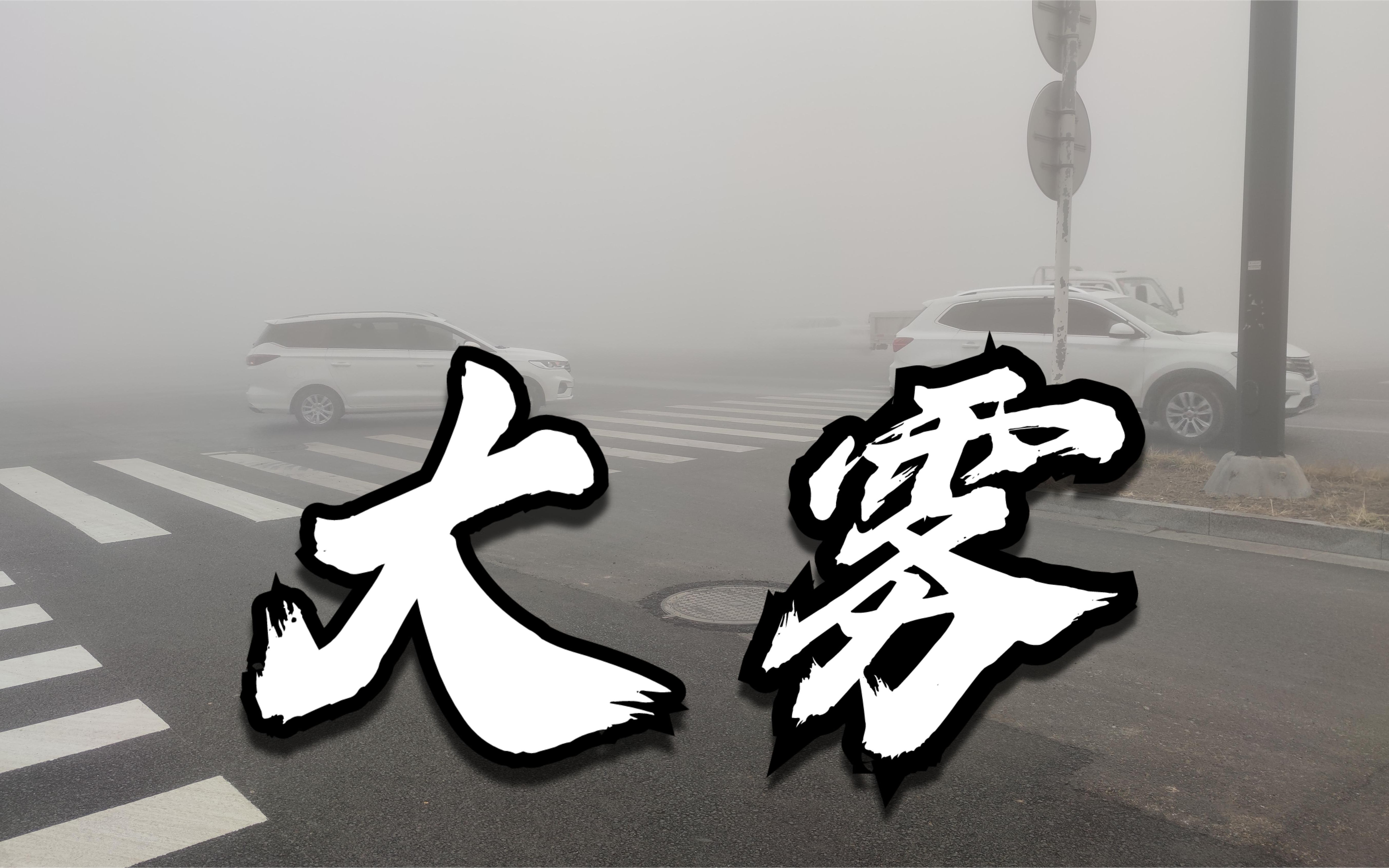 大雾天真心不能出门,一不小心,真怕自己找不到回家的路!