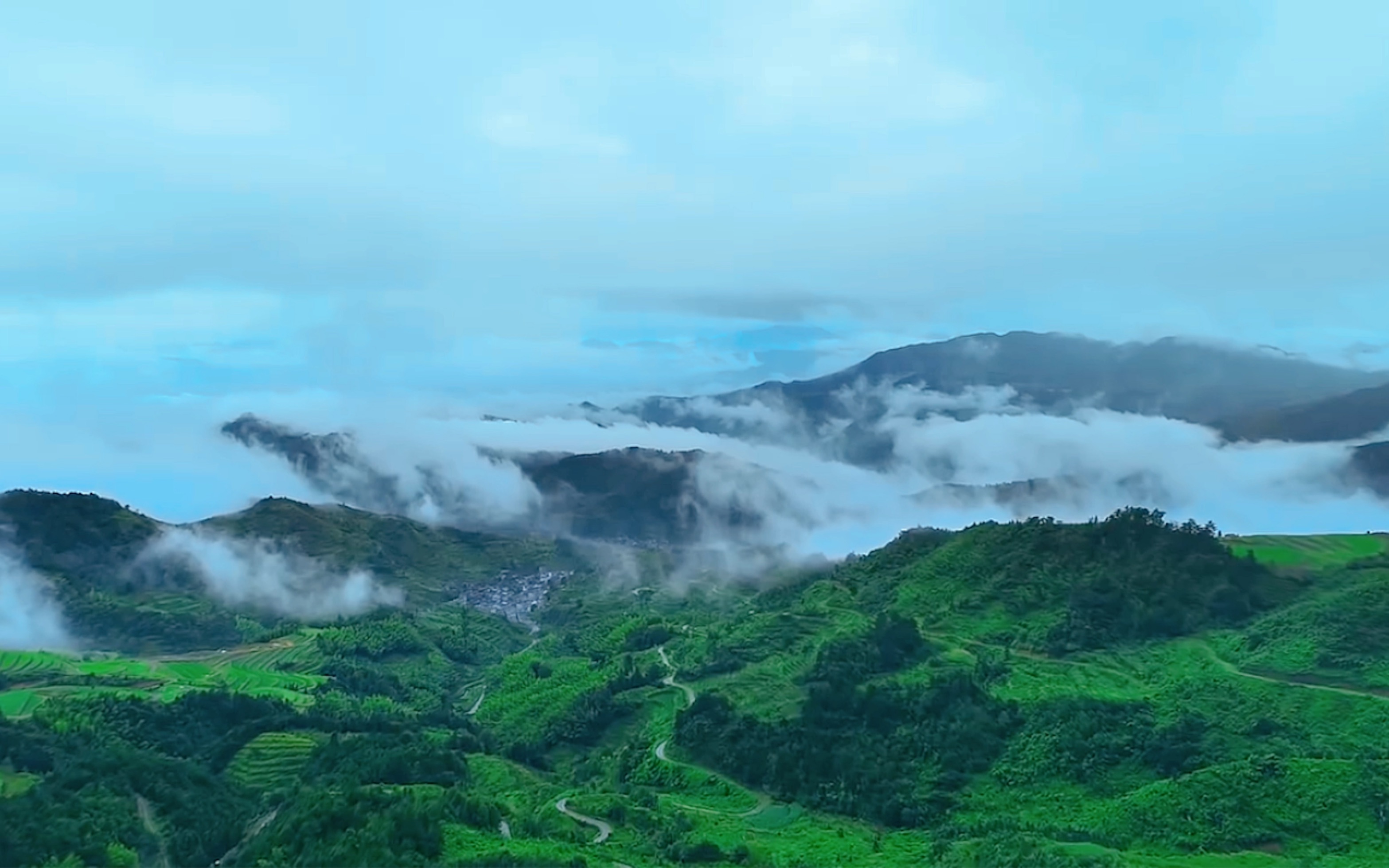 【风景】人间烟火花小厨丨茶音