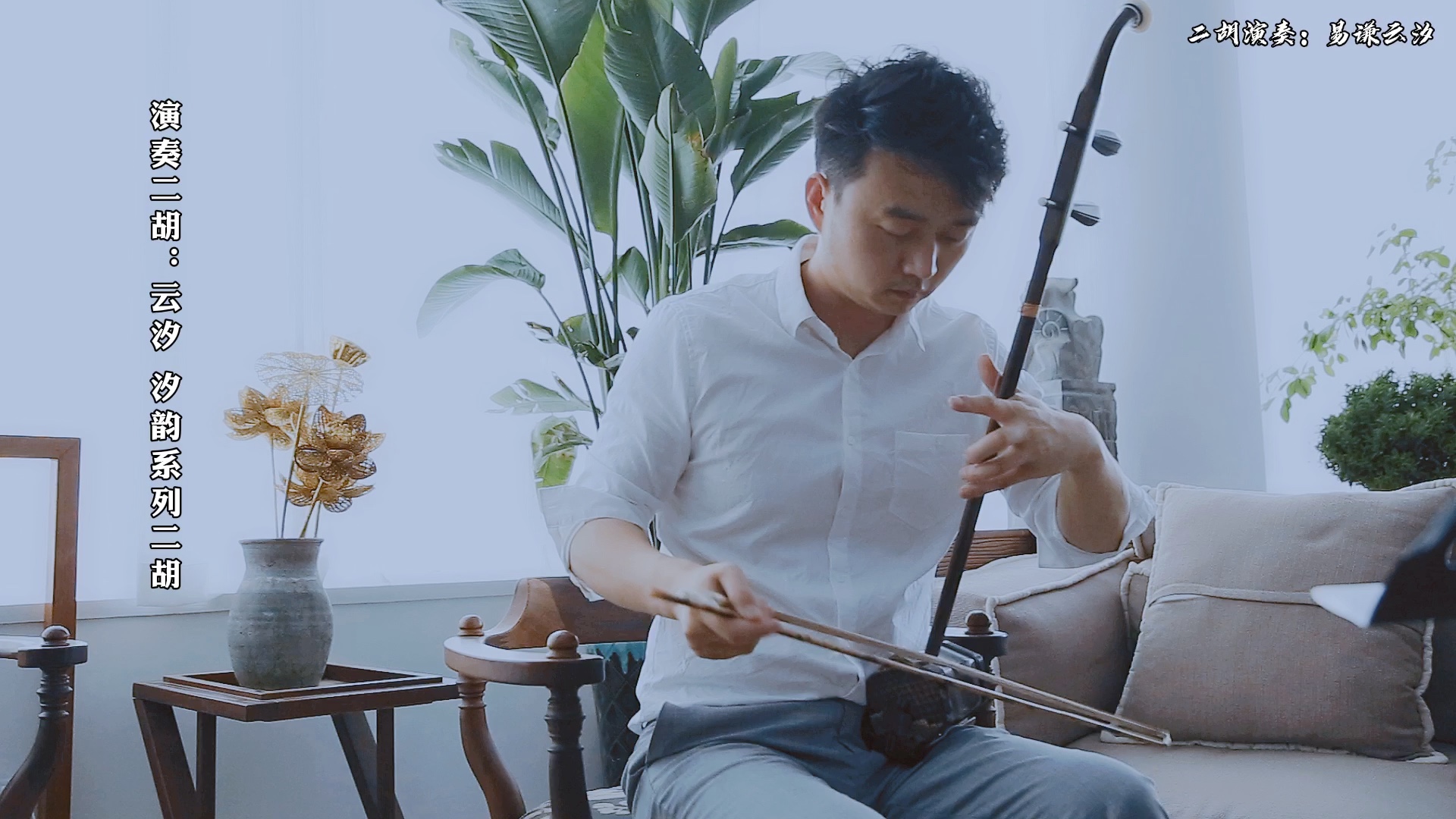 再美好的事物都如昙花一现好好珍惜当下吧烟花易冷二胡周杰伦情感