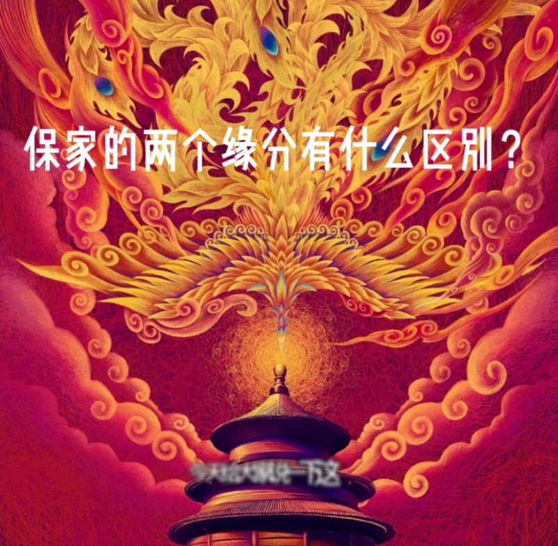 保家的两个缘分有哪些区别?哔哩哔哩bilibili