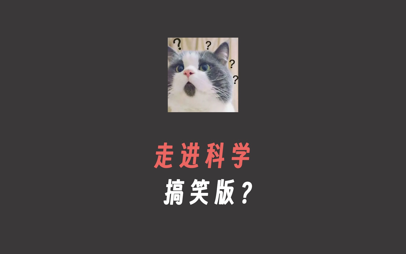 搞 笑 新 闻 省 流 版 !哔哩哔哩bilibili