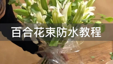 N0 14百合花束包装 哔哩哔哩 Bilibili