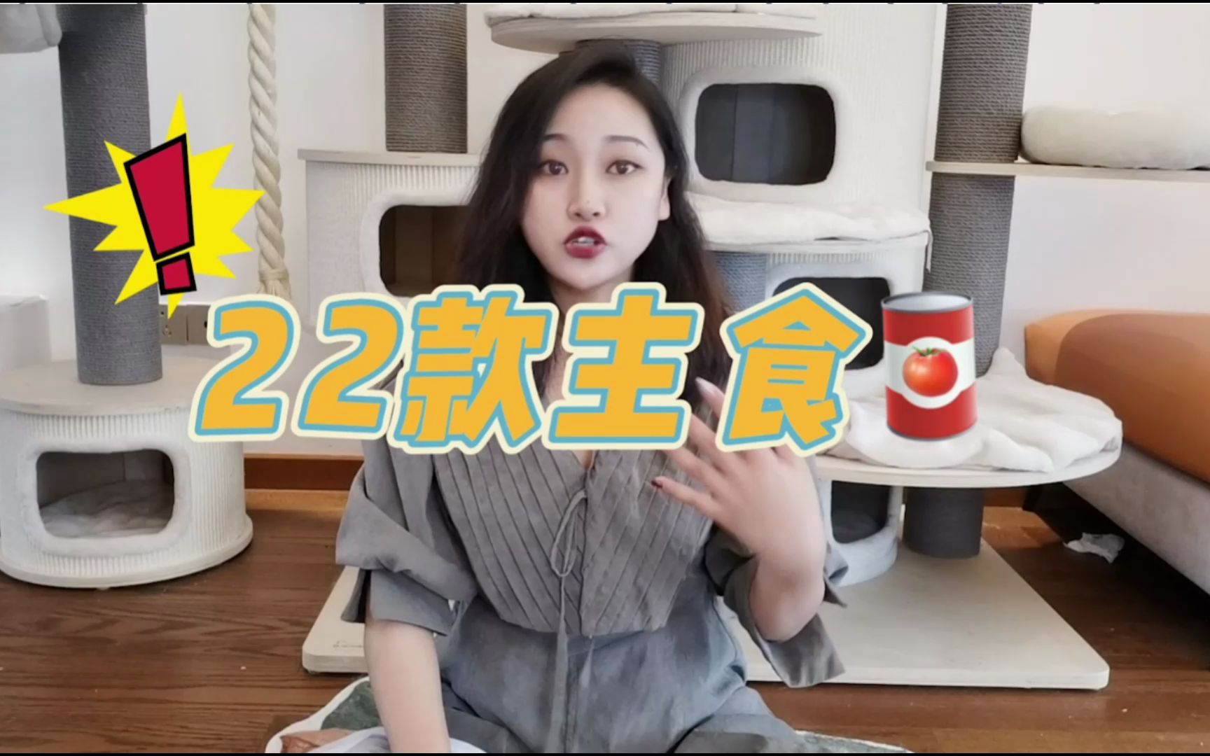 22款国产主食罐大测评~哔哩哔哩bilibili