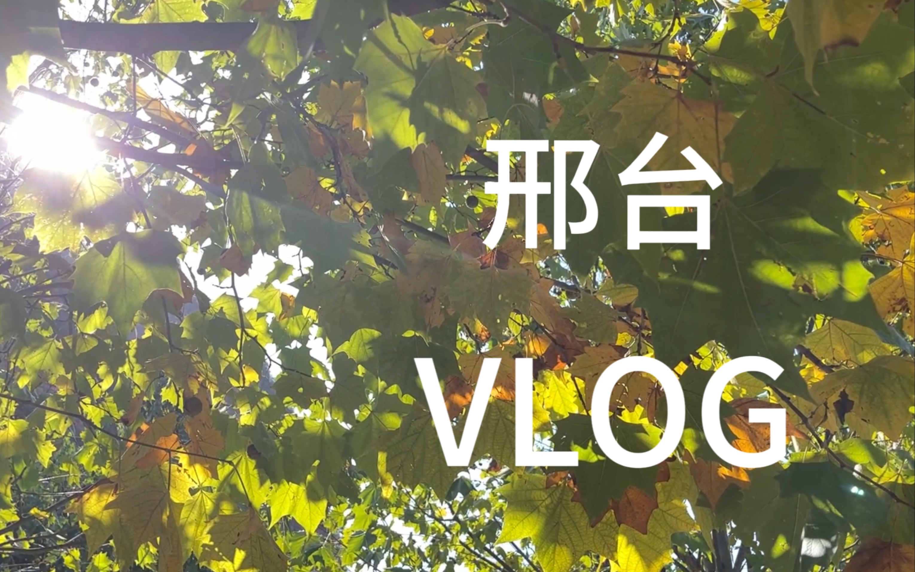 VLOG12 邢台两天三夜游|爬山秋游|吃吃吃的日常哔哩哔哩bilibili