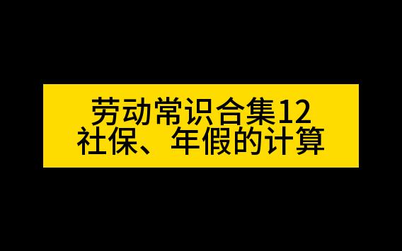 社保、年假的计算哔哩哔哩bilibili