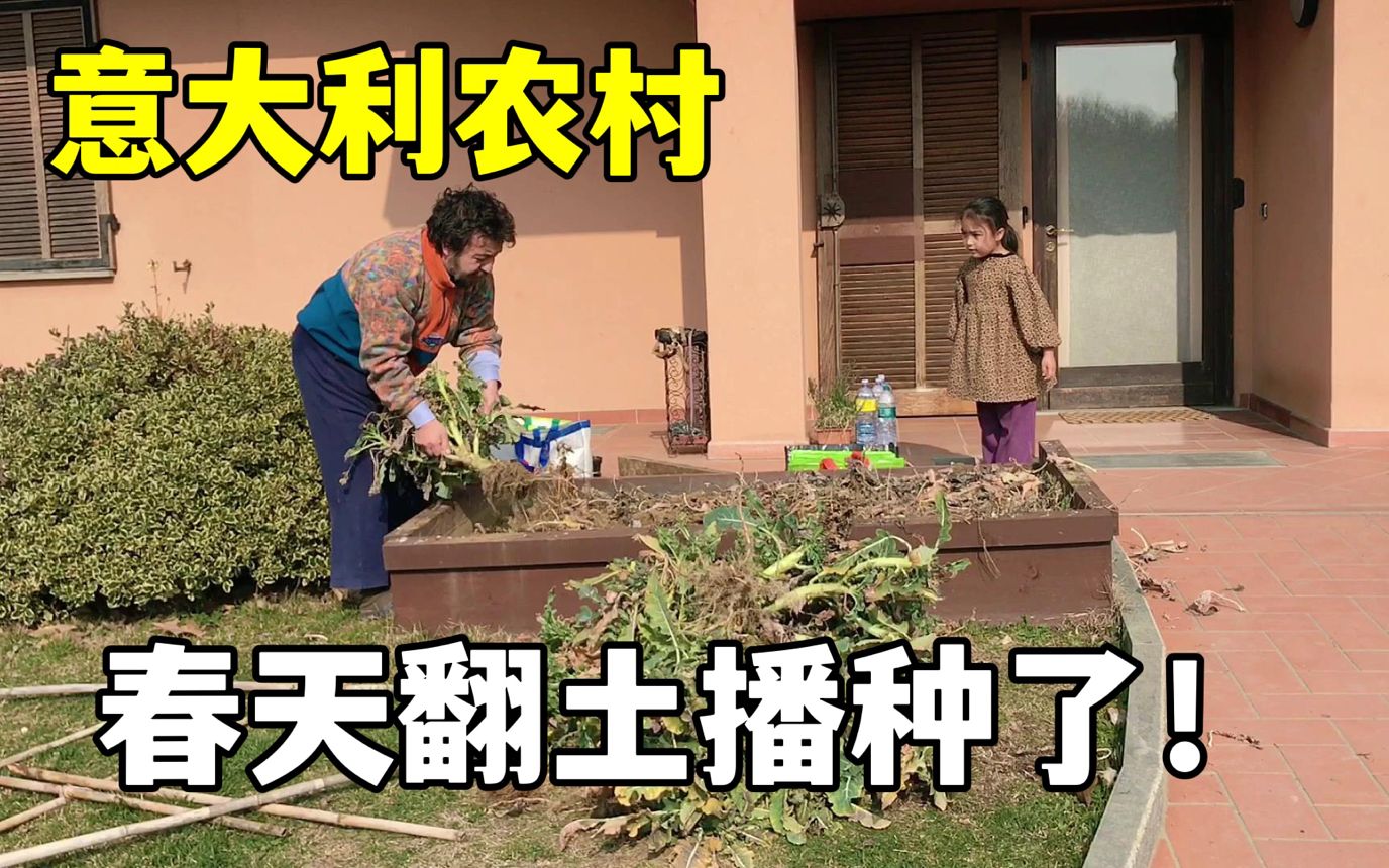 春天到了意大利老公给院子里的土翻翻种点啥菜比较合适