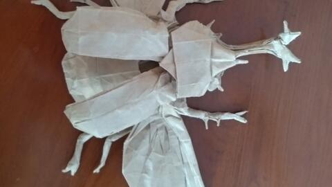 折纸过程 作品欣赏 折纸飞行大兜虫 哔哩哔哩 折纸过程 作品欣赏 折纸飞行大兜虫 哔哩哔哩