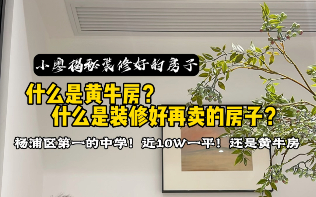 你们一直好奇的“中介装修的房子”“黄牛房!”“专门装修好卖的房子”,今天带你们看一套正儿八经的黄牛房!注:这条视频拍完我要出去躲躲了!哔...