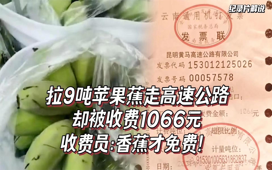 拉9吨苹果蕉走高速绿通,却被收费1066元,收费员:香蕉才免费!哔哩哔哩bilibili