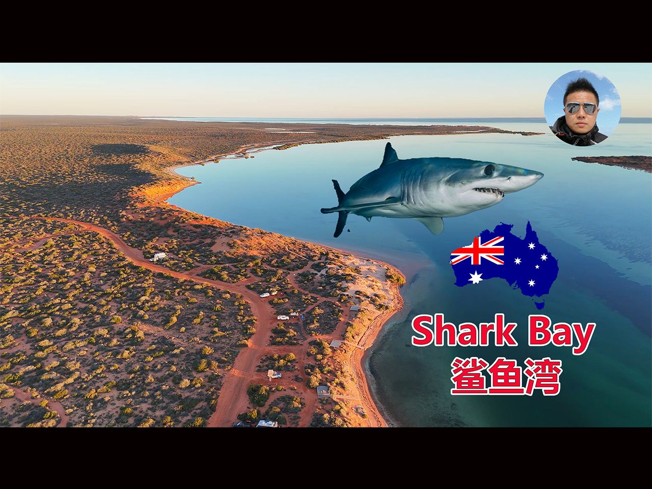 西澳大利亚Shark Bay鲨鱼湾旅行Vlog!哔哩哔哩bilibili