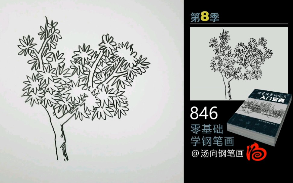 【零基础学画画】5分钟学习一棵树叶形状怪异的树画法!哔哩哔哩bilibili