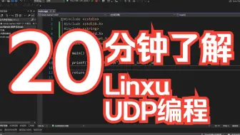 【键客秋刀鱼】20分钟学会 Linux UDP(多的那几分钟是展示)——网络编程系列