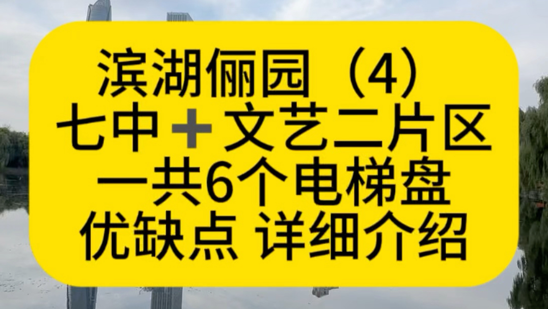（4）滨湖俪园，接下来用6条视频给大家介绍：七中文艺二片区的全部电梯盘，基础信息和优缺点#沈阳七中