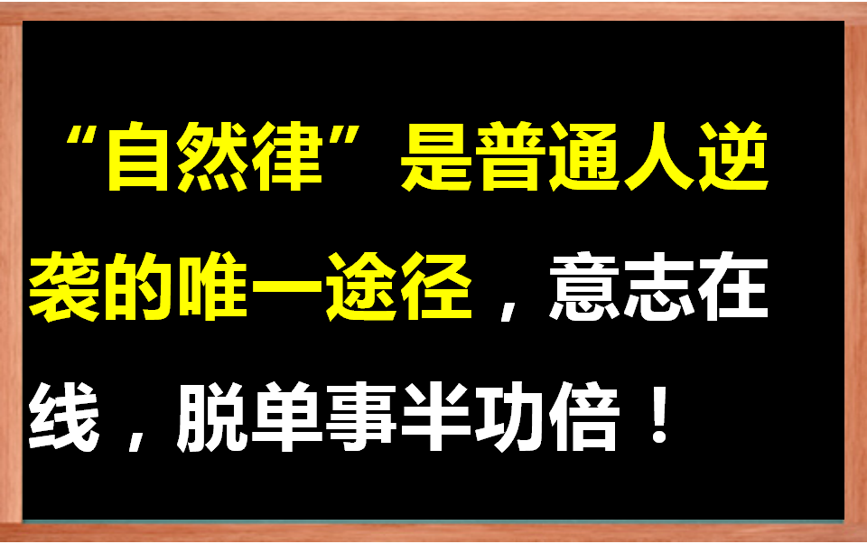 穷,丑,没背景?远离脱单焦虑:对结果“长视”,做事要“短视”哔哩哔哩bilibili