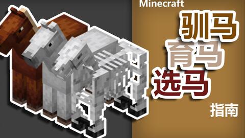 Minecraft 驯马育马选马指南 哔哩哔哩 Bilibili