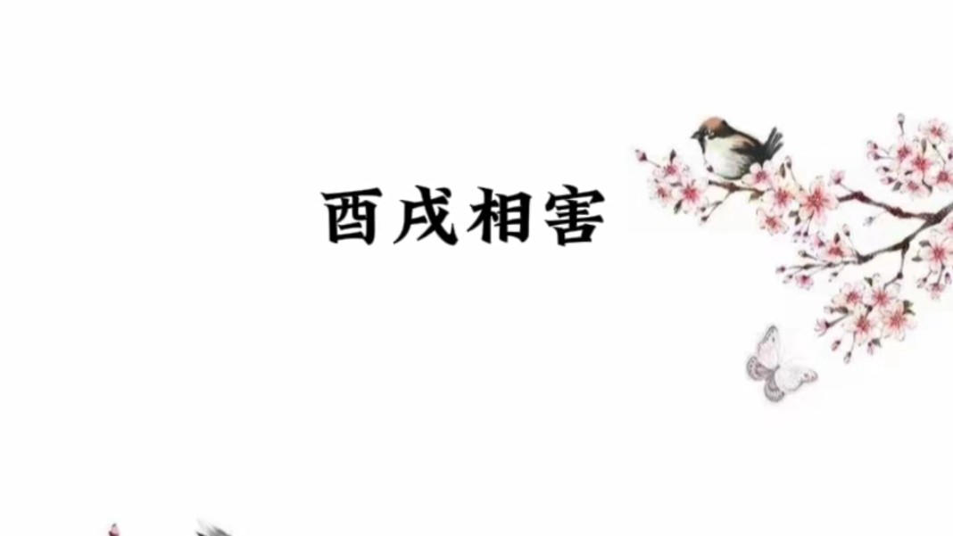 酉戌相害哔哩哔哩bilibili