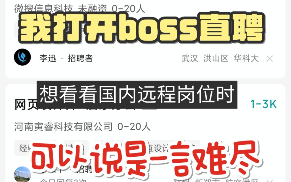 打开boss直聘,看看国内远程岗位情况,我都看笑了哔哩哔哩bilibili