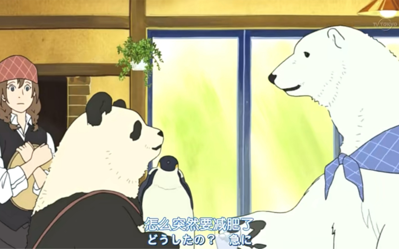 【白熊咖啡厅】大熊猫被身材焦虑所困扰的样子,像极了想减肥的你 | cu