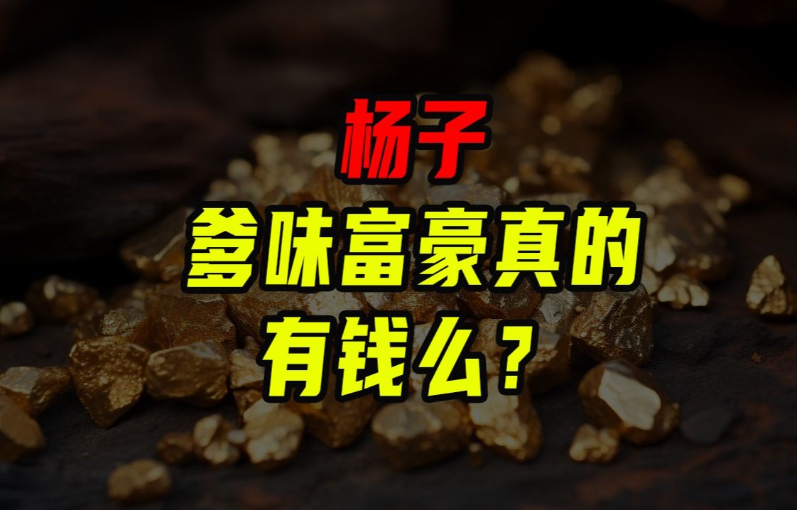 爹味富豪真的有钱吗?哔哩哔哩bilibili