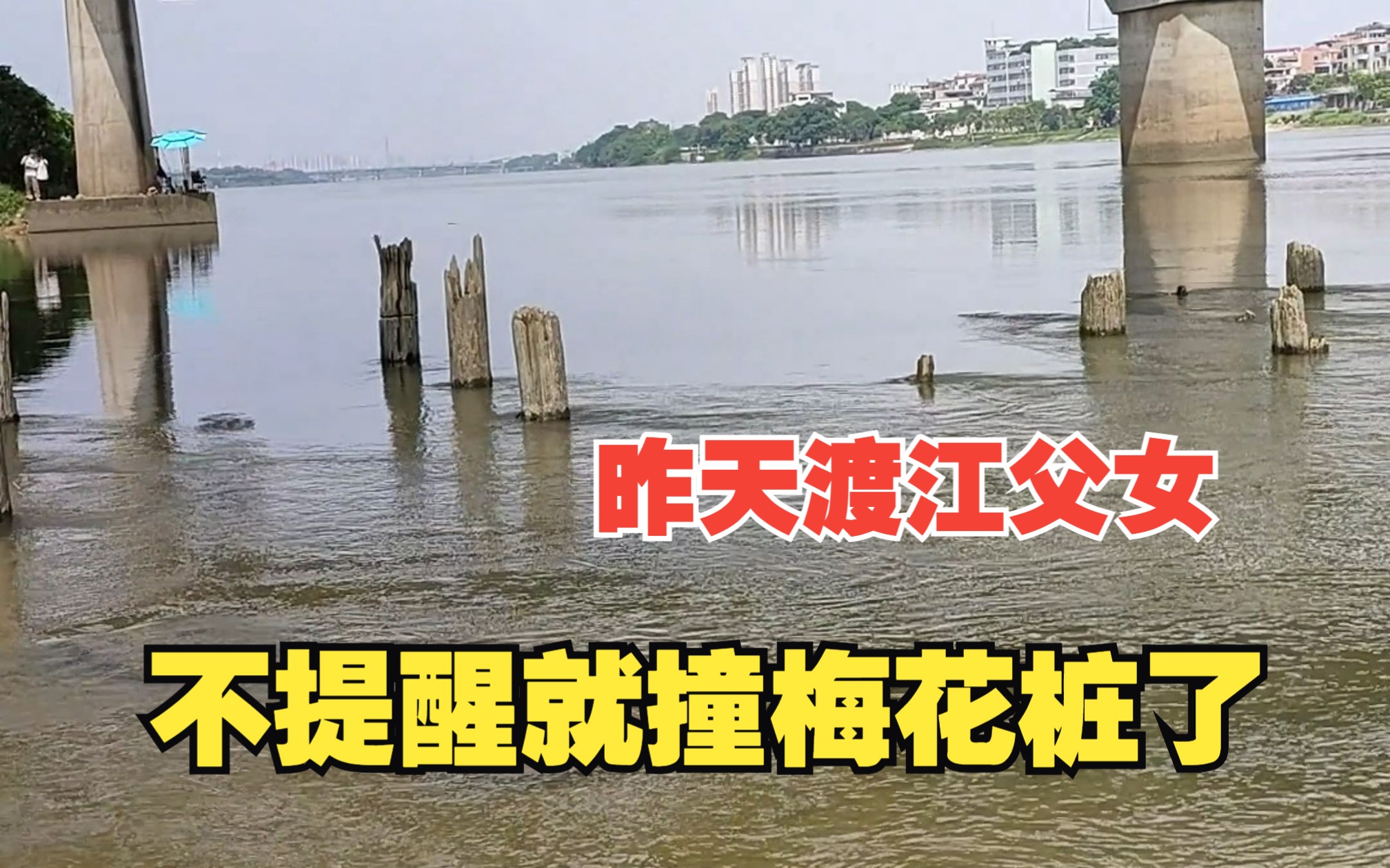 路过拍到横渡父女被水流冲到下游,担心他们被冲到铁路桥下面,会被锋利的木桩钢筋刮伤发生悲剧, 急忙下去提醒提前靠岸, 我提醒了就大聪明说我多管...