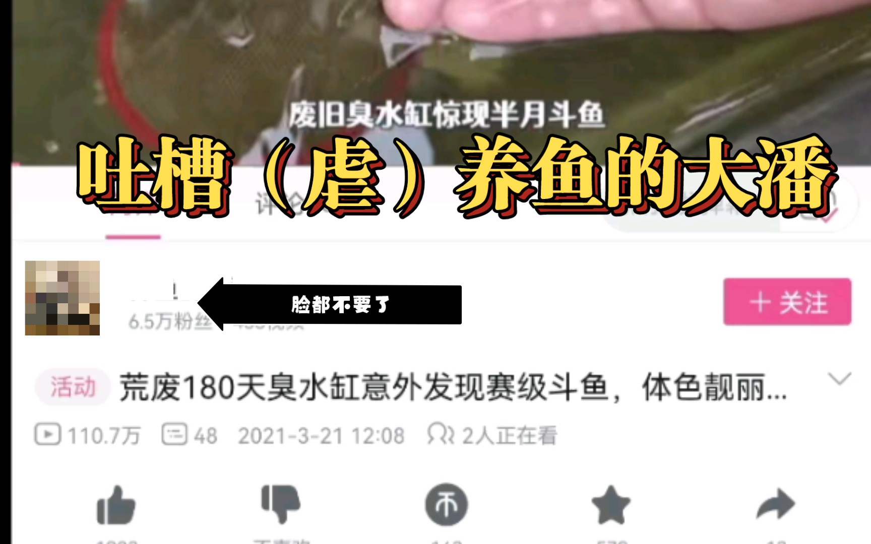 吐槽养虐鱼的大潘