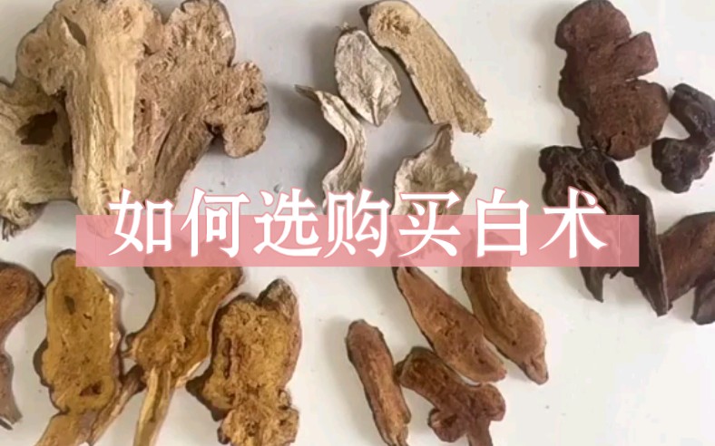 [图]中草药质量辨别之白术zhu