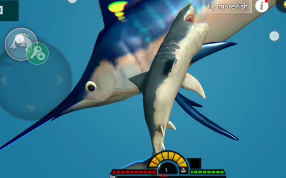 海底大猎杀:大白鲨vs76级和80级的旗鱼,再次击败巨型旗鱼!