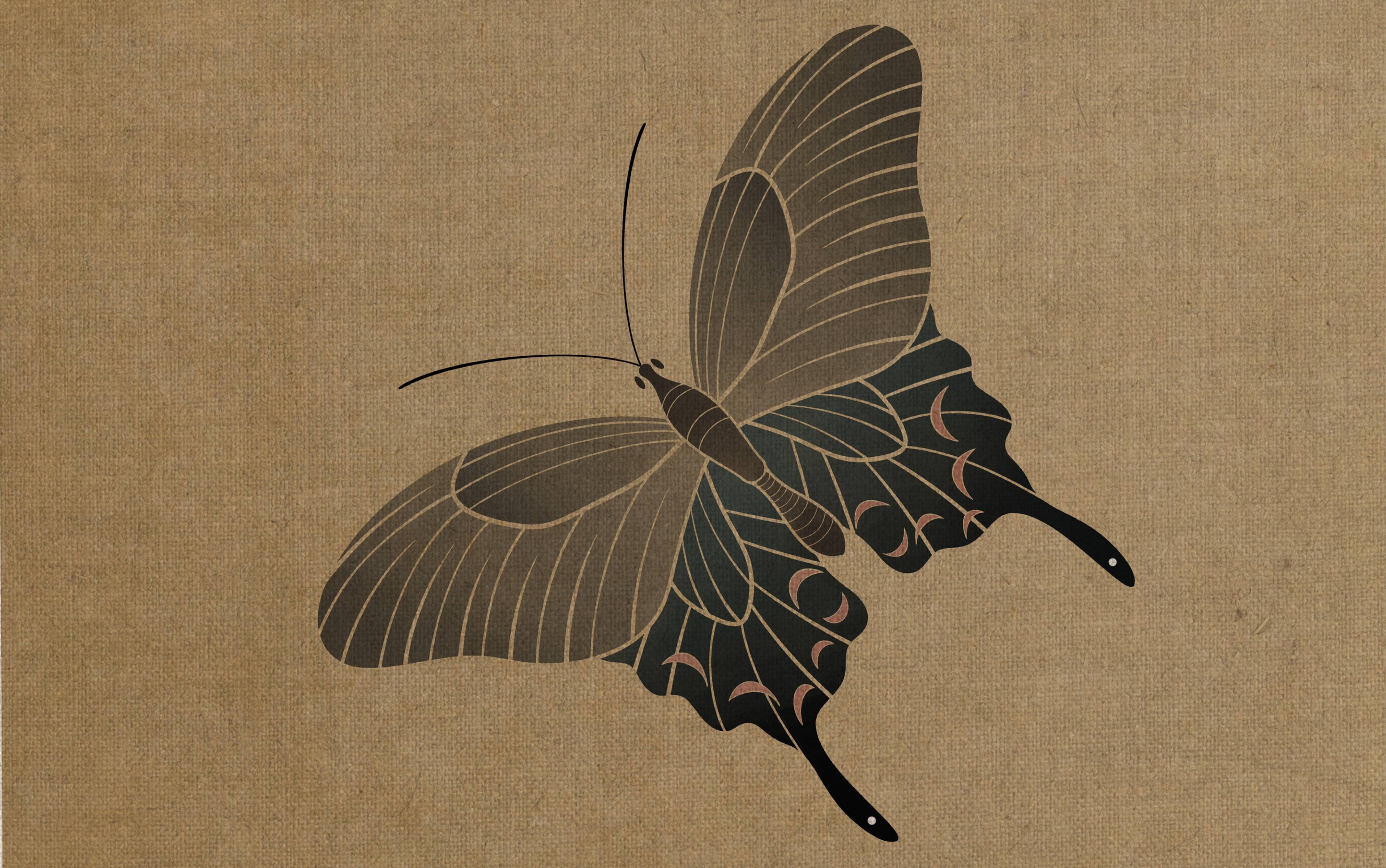 ipad国画—蝴蝶(二)