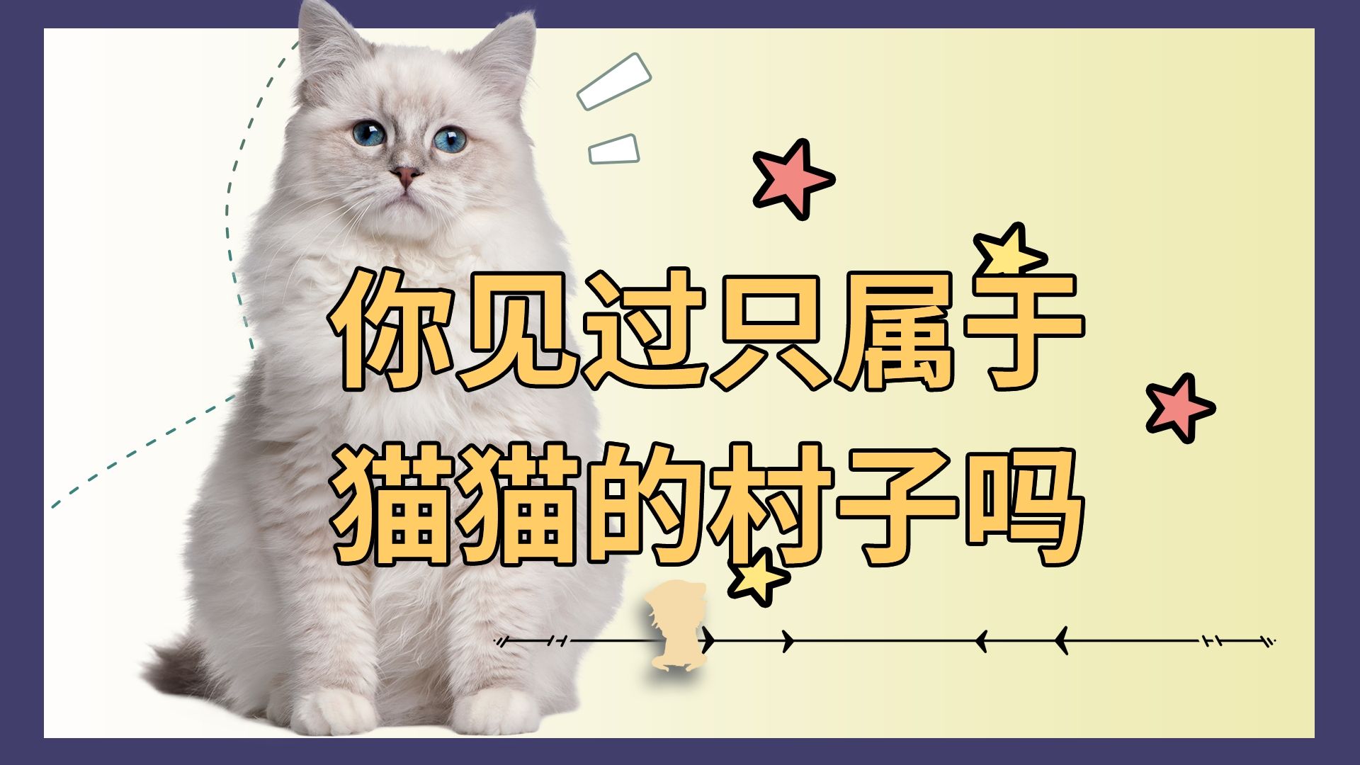 有这么一个村,叫猫村,是只属于猫猫的村落哔哩哔哩bilibili