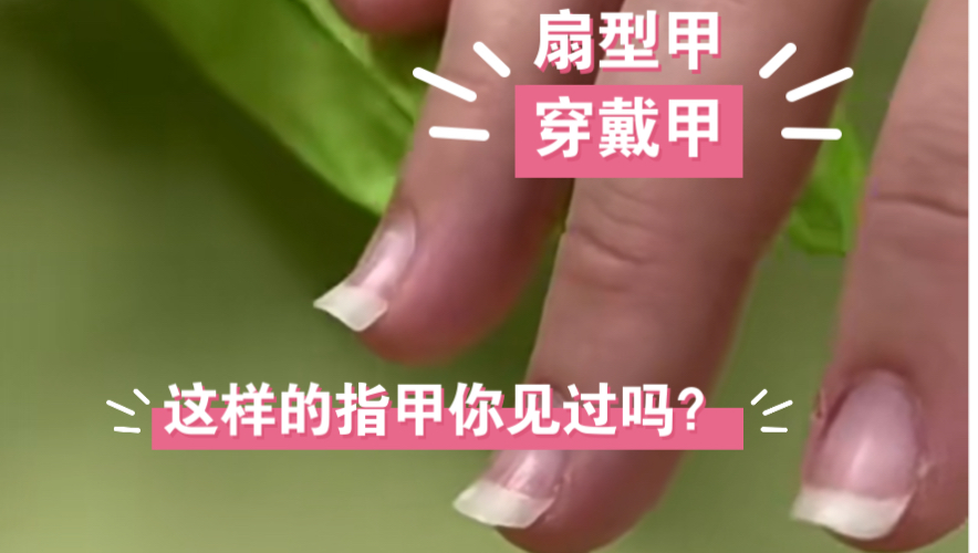 扇型甲怎么带穿戴甲?哔哩哔哩bilibili