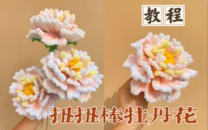 Download Video: 【扭扭棒花教程】扭扭棒牡丹花