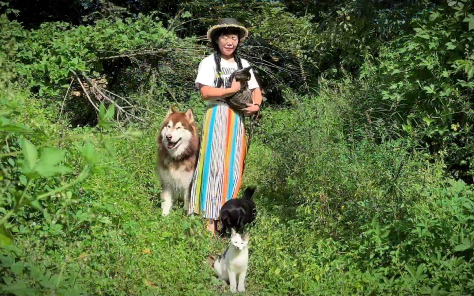 一个人大山里隐居四年的诗意生活,每天用原生态新鲜食材做美食.哔哩哔哩bilibili