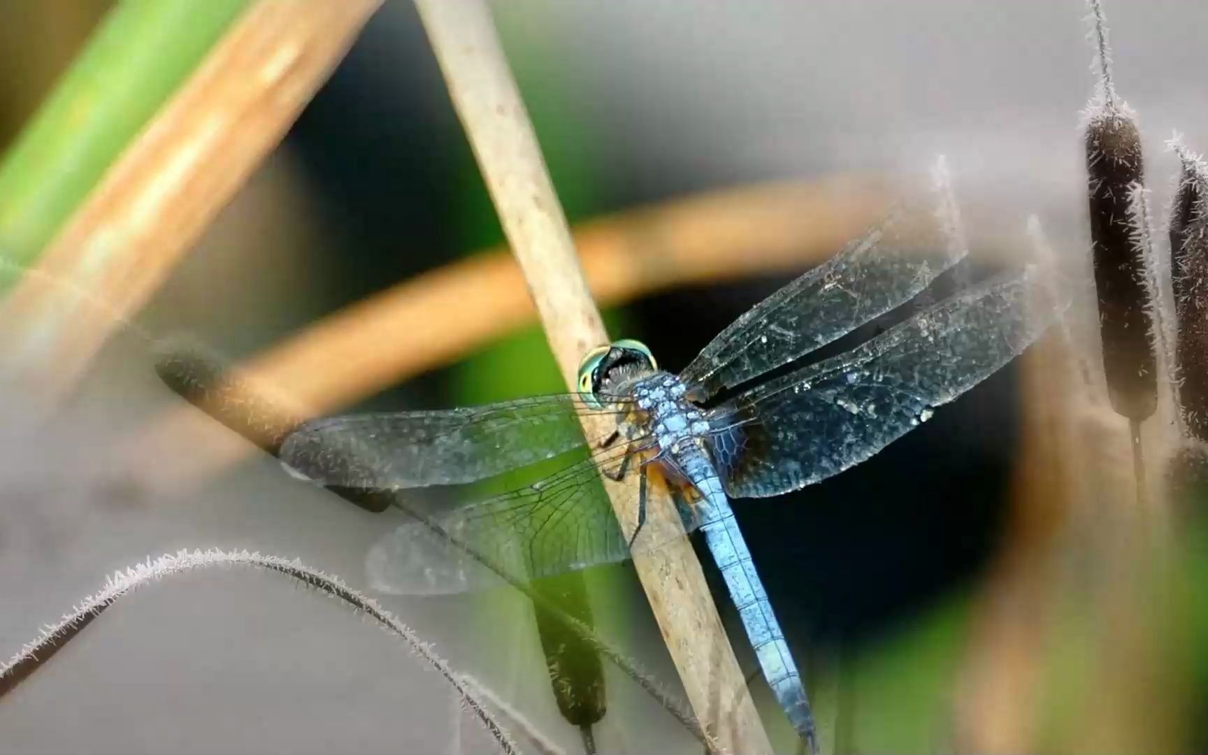 游园 稳中求胜--中产的财富路径与资产配置