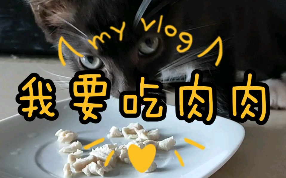 【我要吃肉肉】【我来光盘行动】小孟买,小吃货!